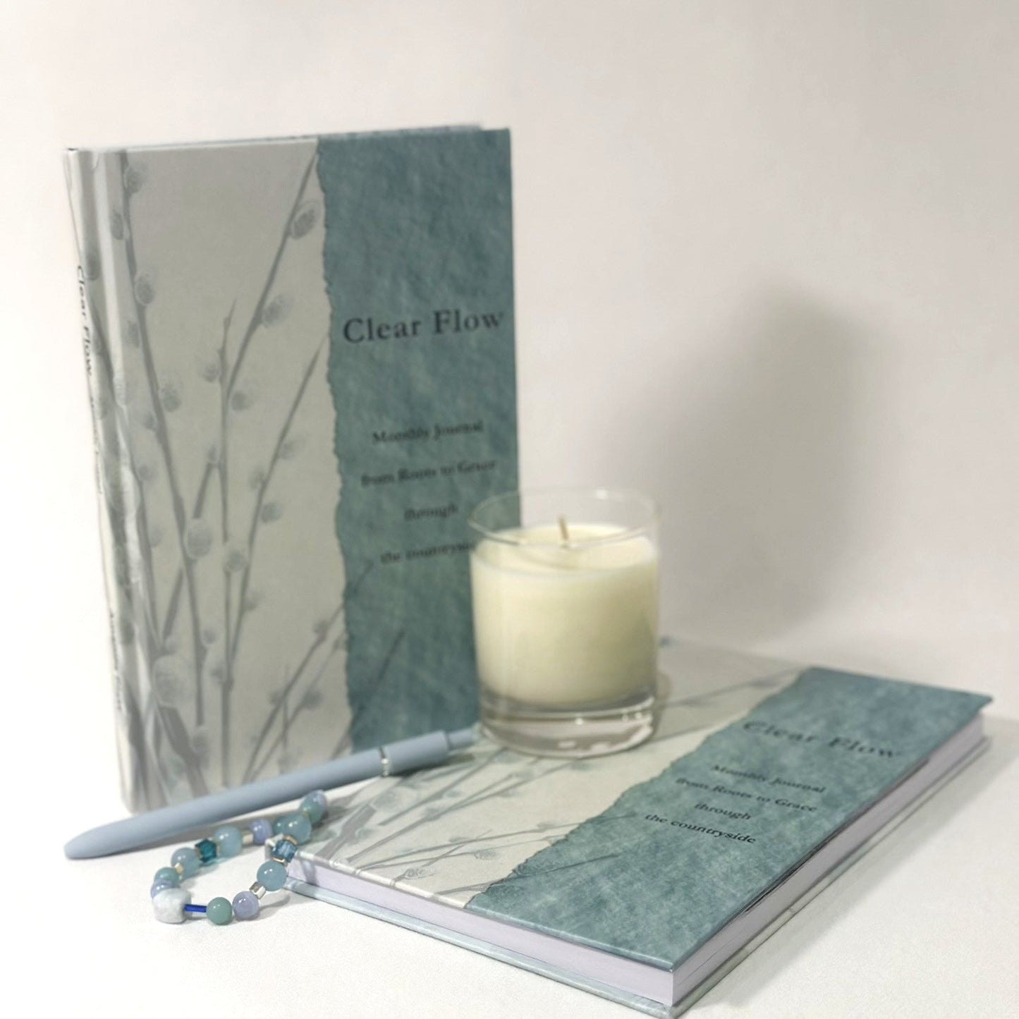 Monthly Reflection & Anchor Subscription