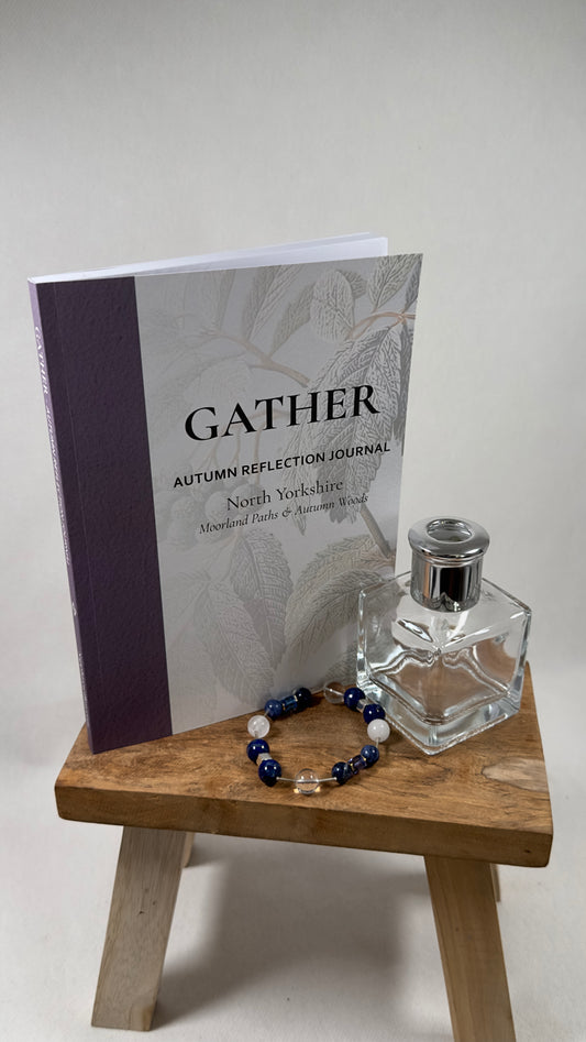 Monthly Reflection & Anchor Subscription