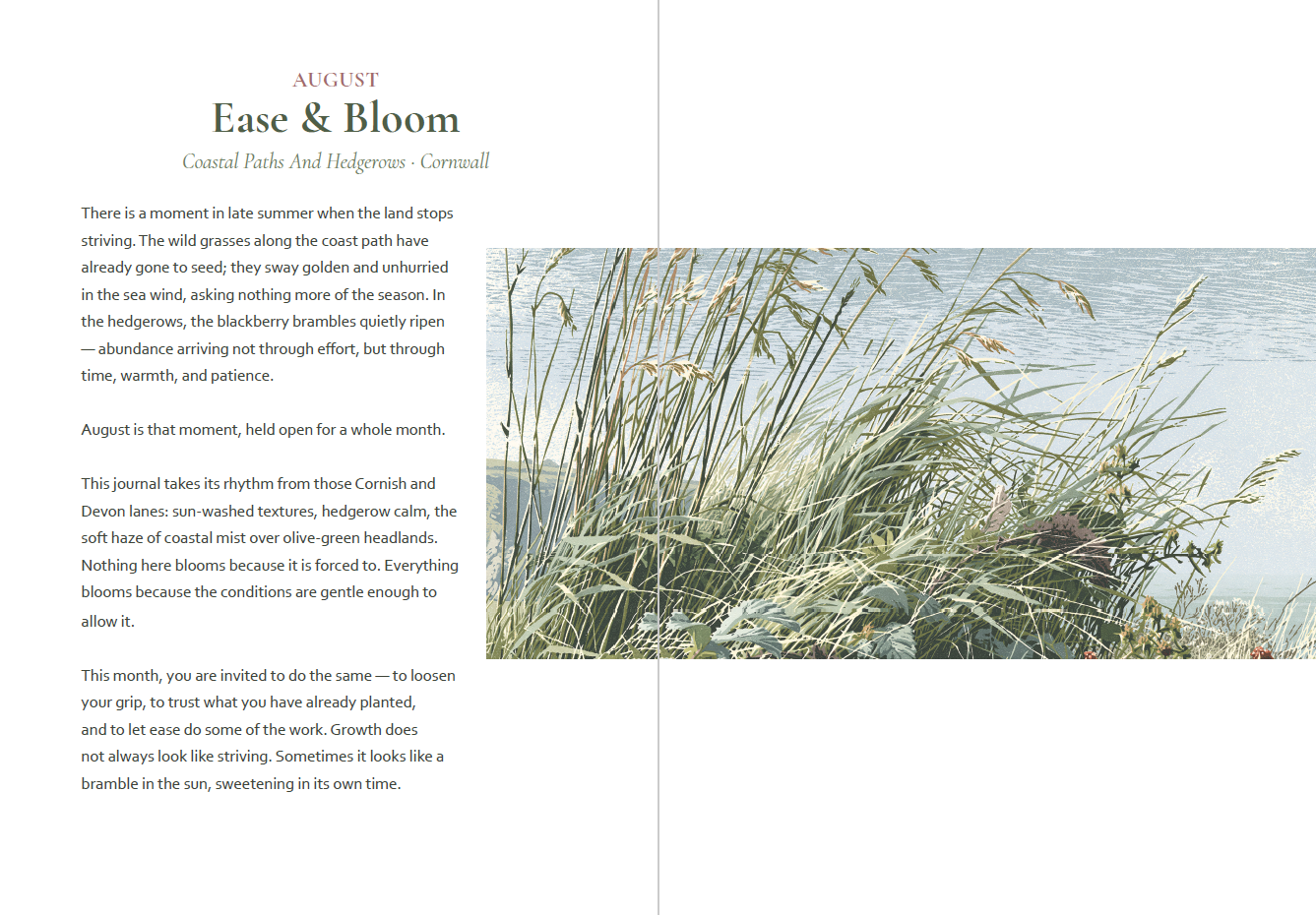 Ease & Bloom - A Countryside Reflection Journal