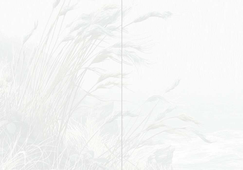Ease & Bloom - Coastal & Countryside Notebook