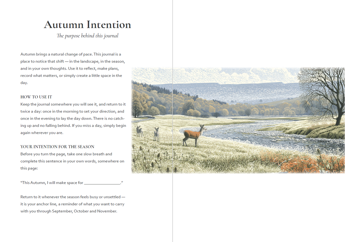 Autumn Reflections - A Countryside Reflection Journal (Paperback)